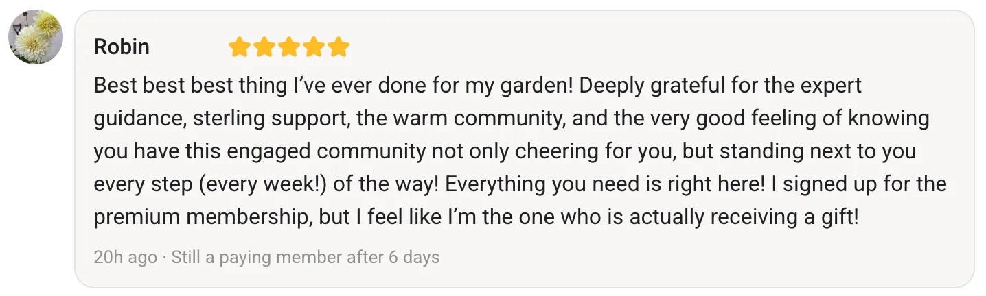 Testimonial - Danielle B